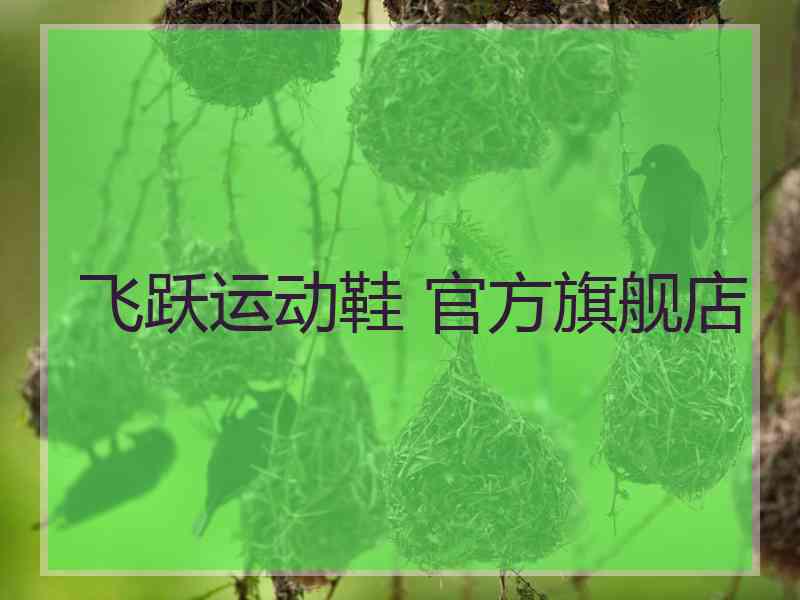 飞跃运动鞋 官方旗舰店