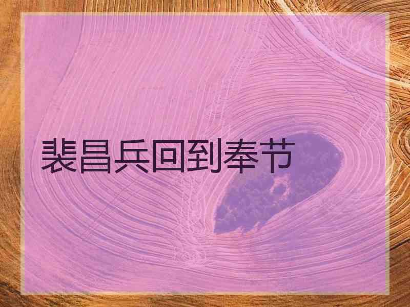 裴昌兵回到奉节