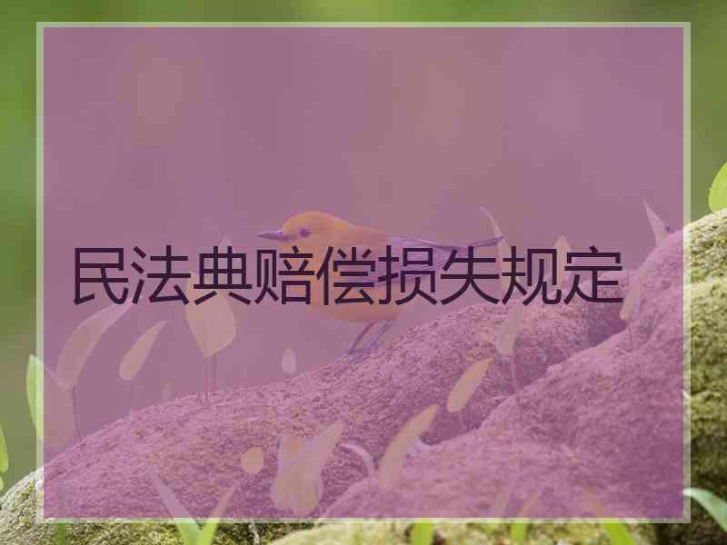 民法典赔偿损失规定