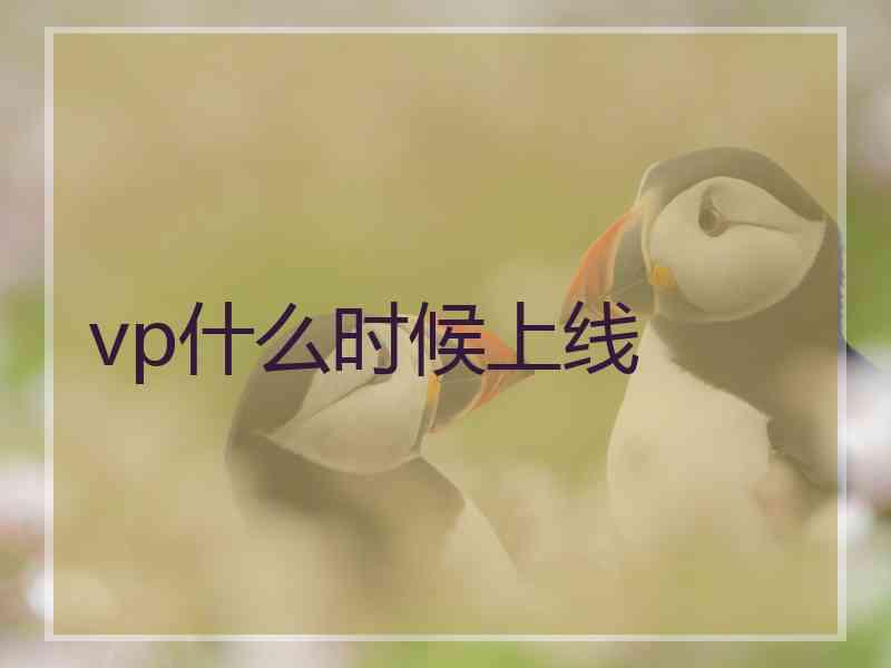 vp什么时候上线