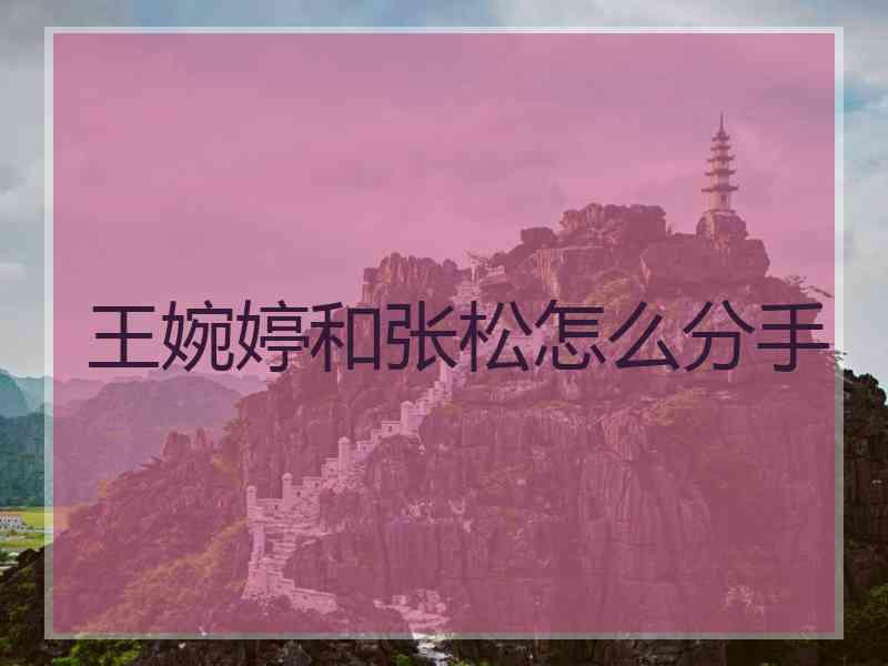 王婉婷和张松怎么分手