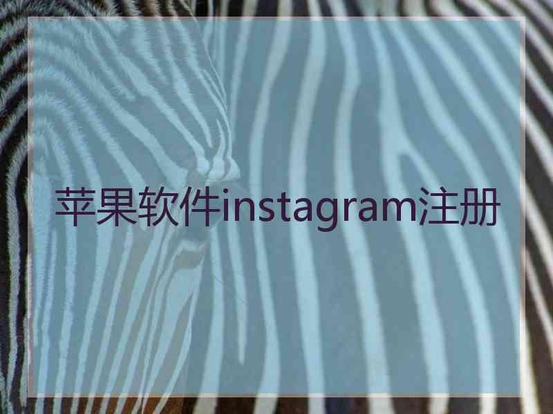 苹果软件instagram注册