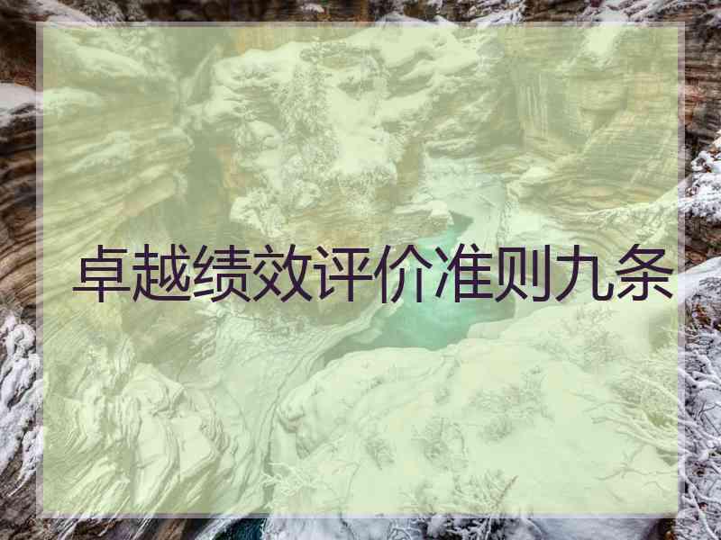 卓越绩效评价准则九条
