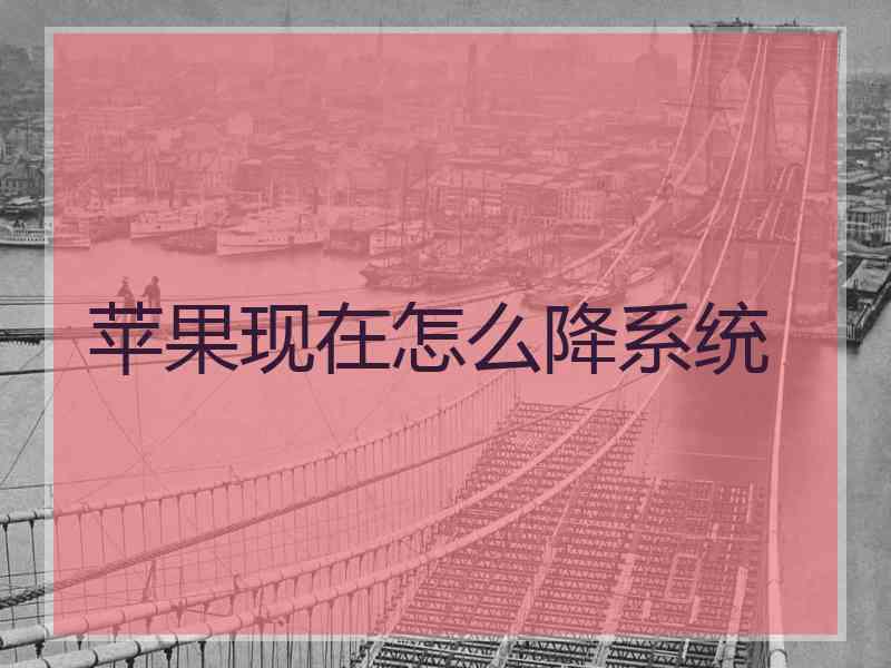 苹果现在怎么降系统