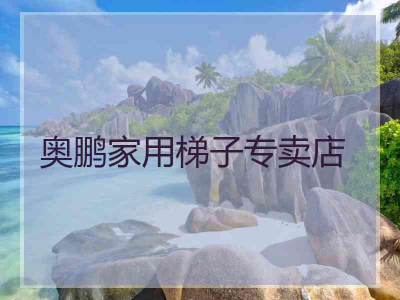 奥鹏家用梯子专卖店