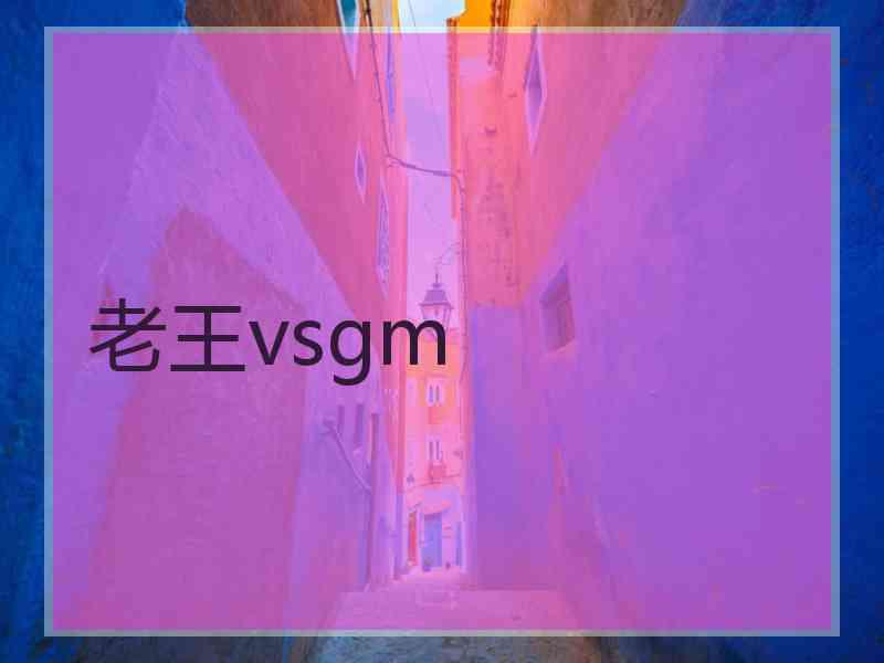 老王vsgm