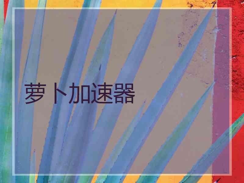 萝卜加速器
