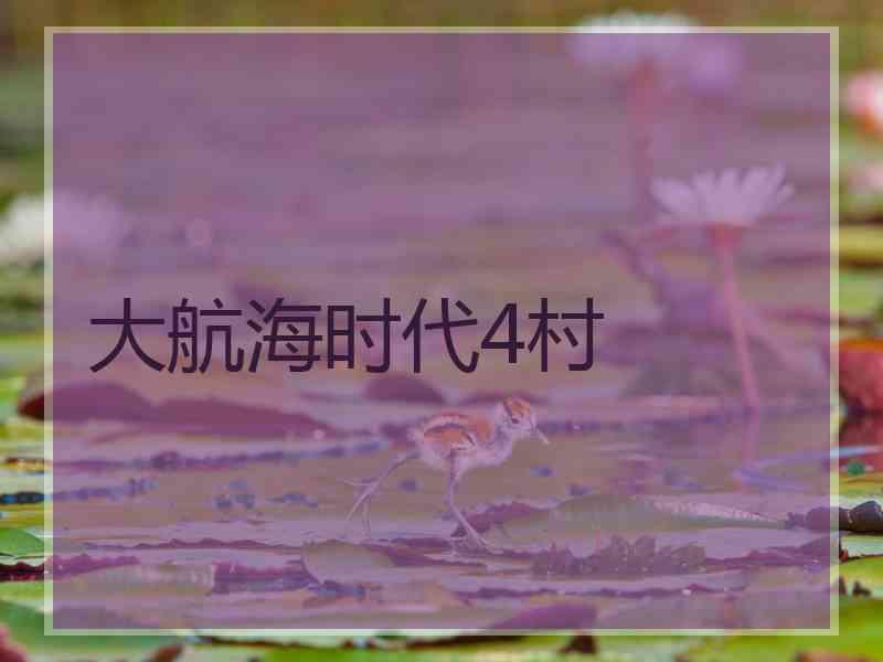 大航海时代4村