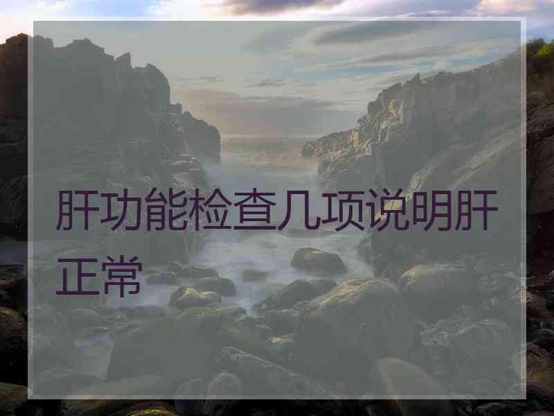 肝功能检查几项说明肝正常