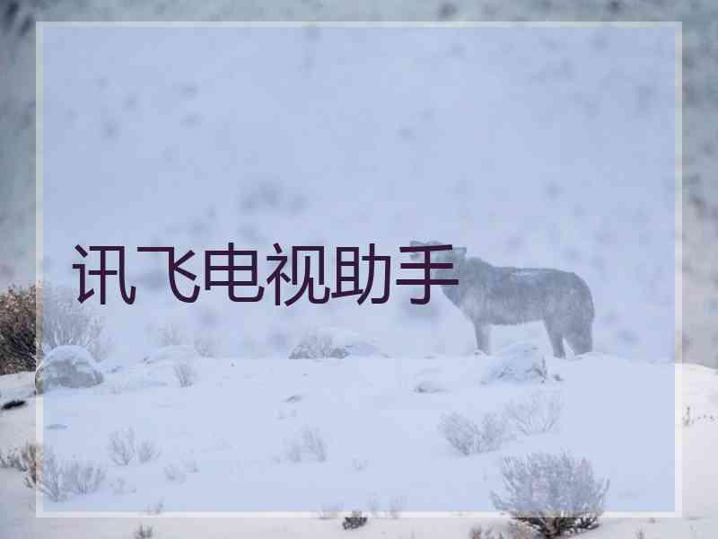讯飞电视助手