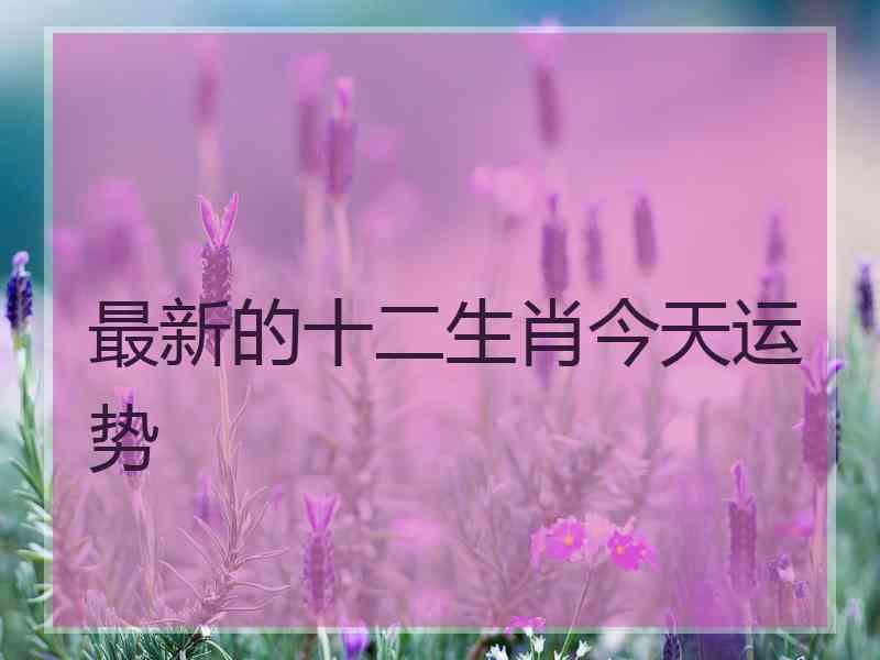 最新的十二生肖今天运势