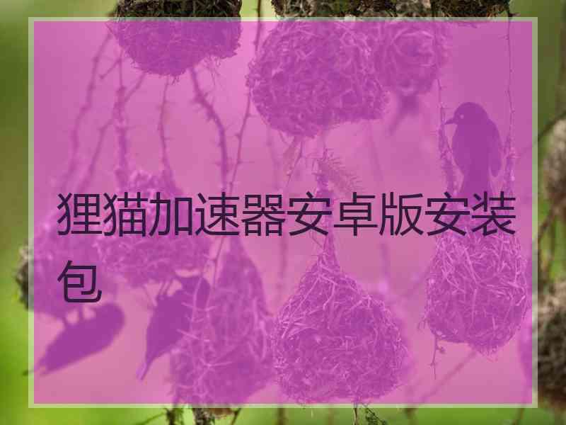 狸猫加速器安卓版安装包