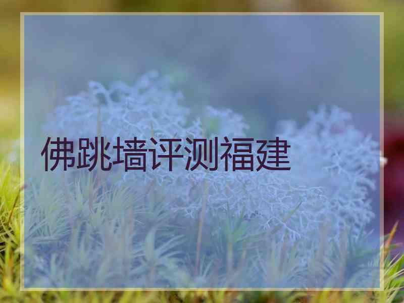 佛跳墙评测福建