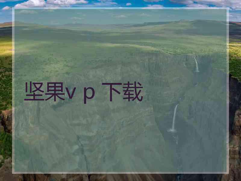 坚果v p 下载