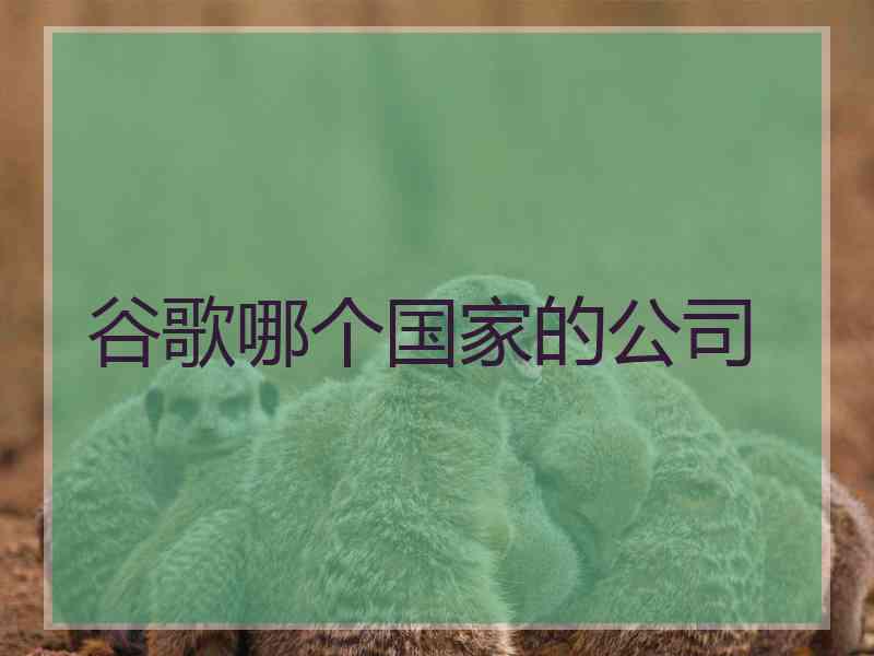 谷歌哪个国家的公司
