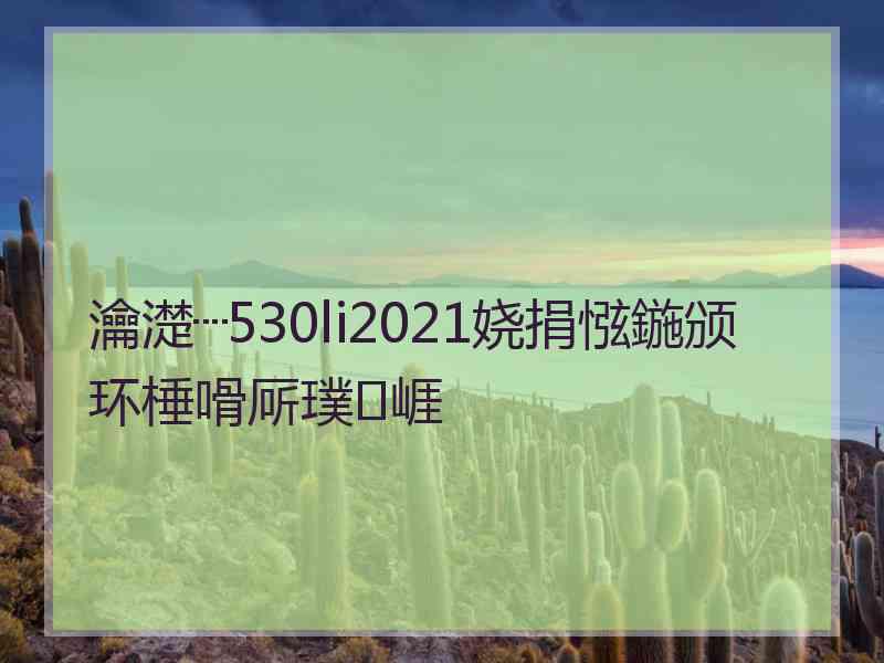 瀹濋┈530li2021娆捐惤鍦颁环棰嗗厛璞崕
