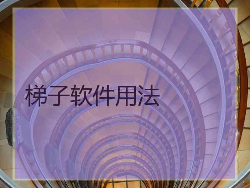 梯子软件用法