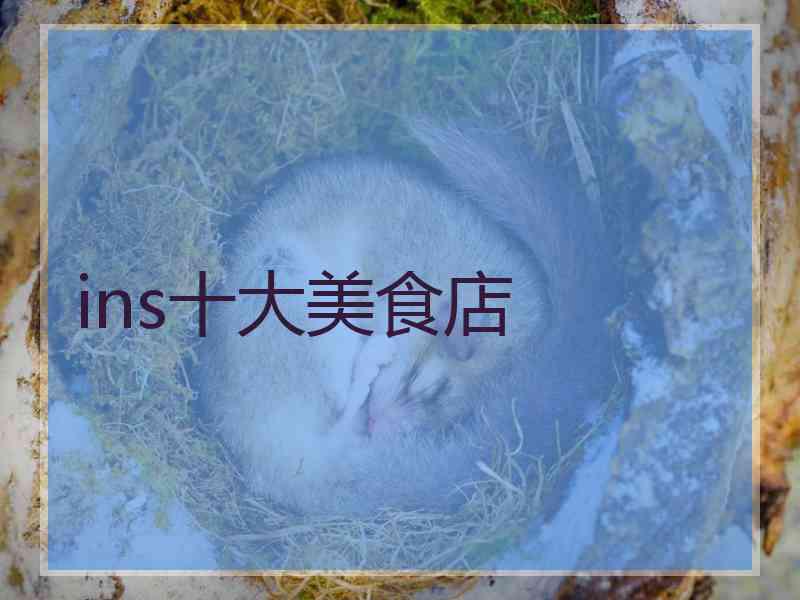 ins十大美食店