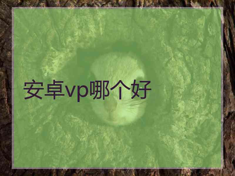 安卓vp哪个好