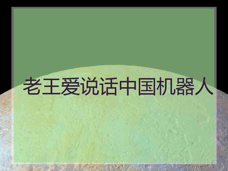 老王爱说话中国机器人