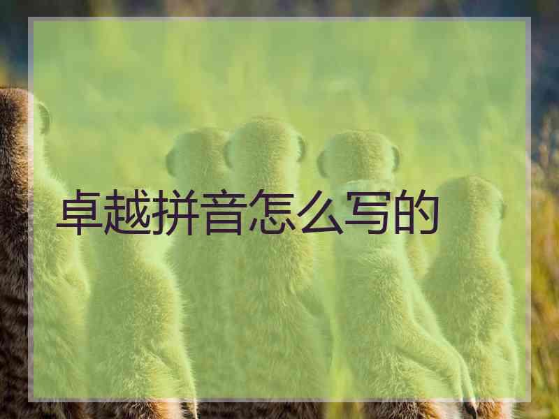 卓越拼音怎么写的