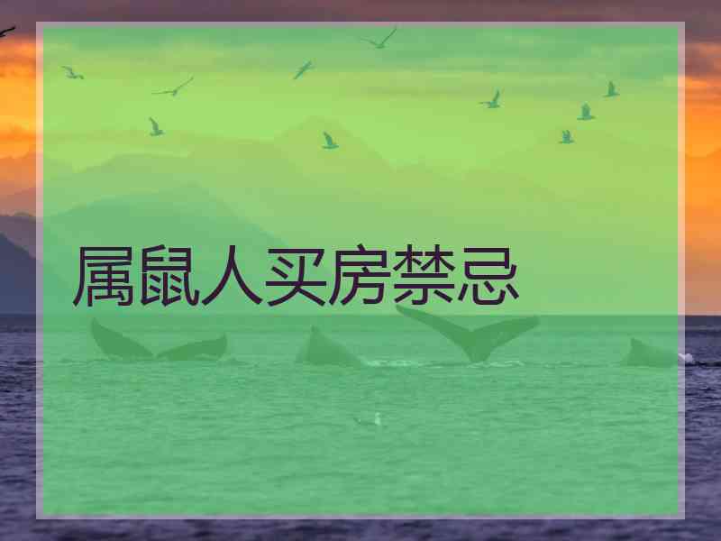 属鼠人买房禁忌