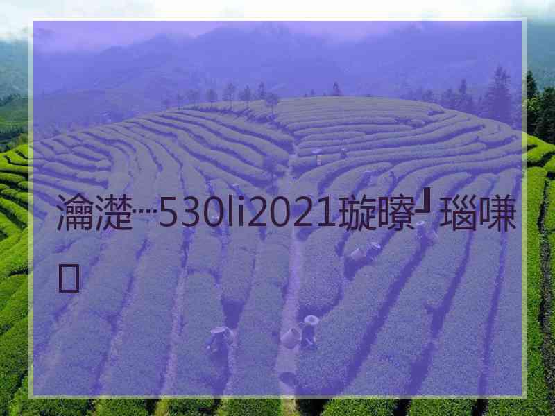 瀹濋┈530li2021璇曢┚瑙嗛