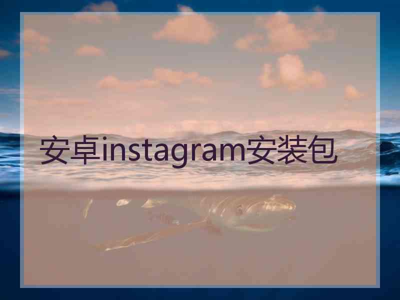 安卓instagram安装包
