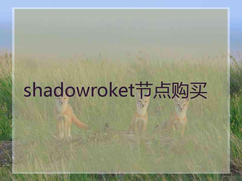 shadowroket节点购买