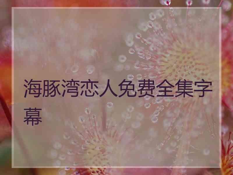 海豚湾恋人免费全集字幕