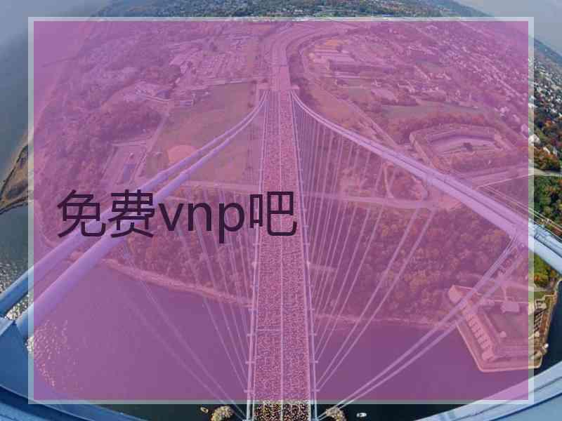 免费vnp吧