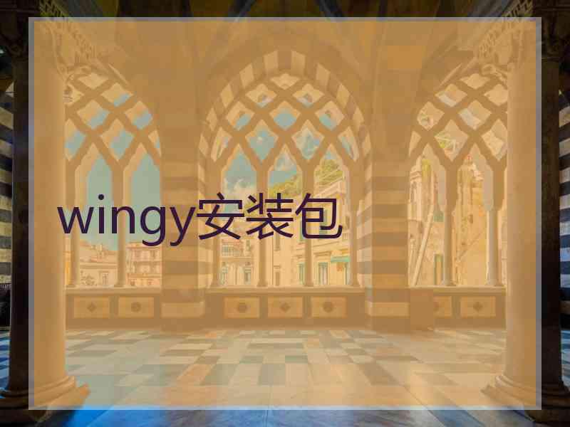 wingy安装包
