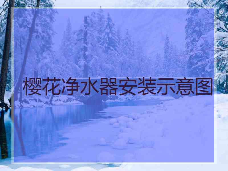 樱花净水器安装示意图