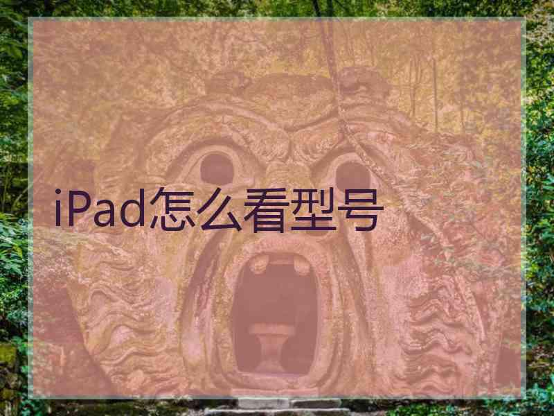 iPad怎么看型号