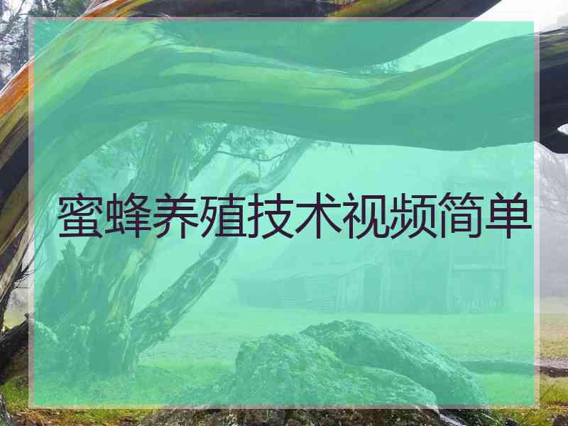 蜜蜂养殖技术视频简单