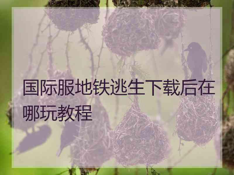 国际服地铁逃生下载后在哪玩教程