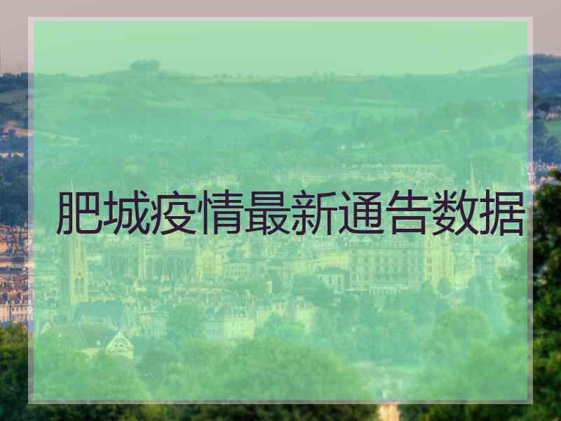 肥城疫情最新通告数据