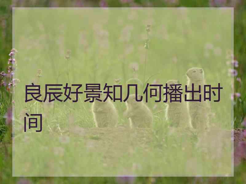 良辰好景知几何播出时间
