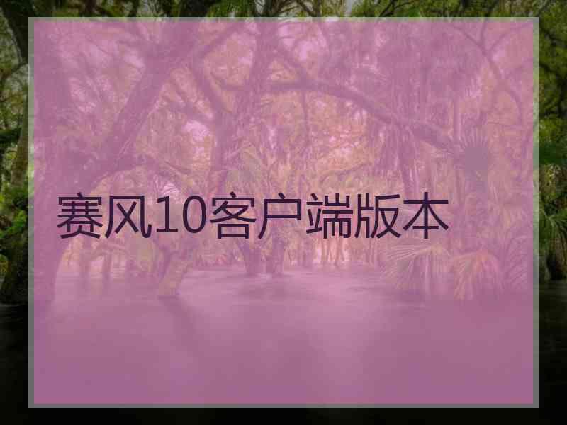 赛风10客户端版本