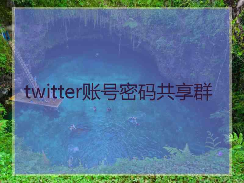 twitter账号密码共享群