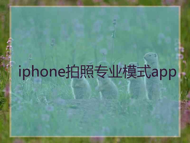 iphone拍照专业模式app