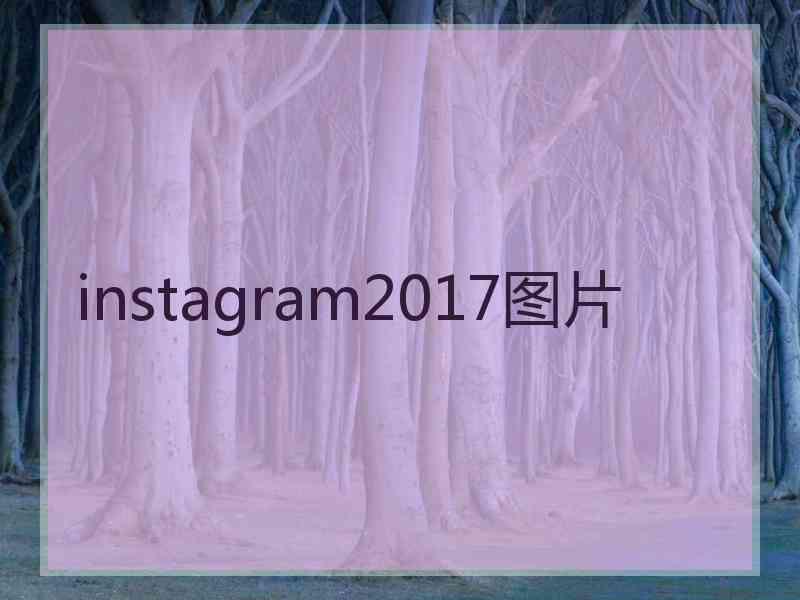 instagram2017图片