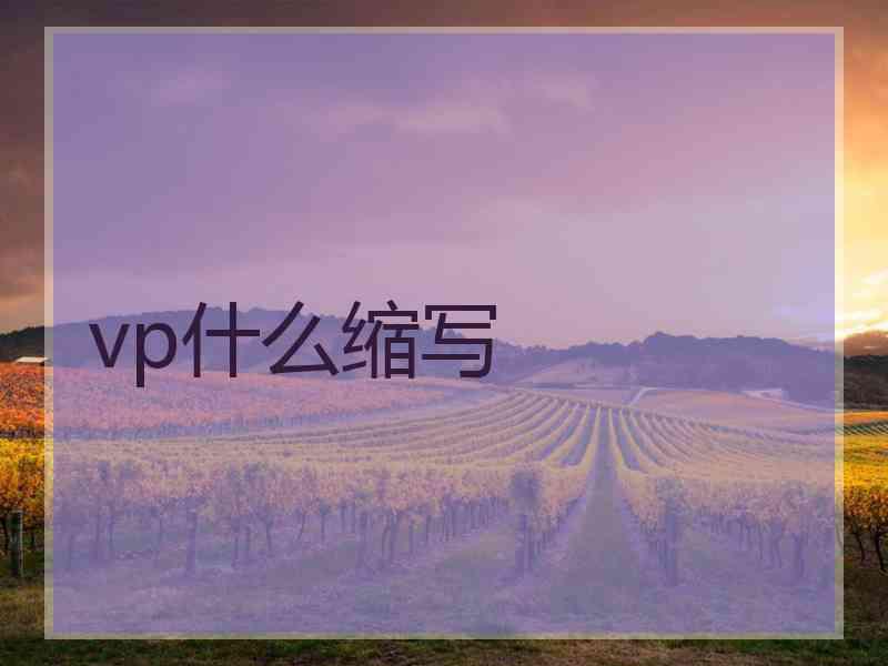 vp什么缩写