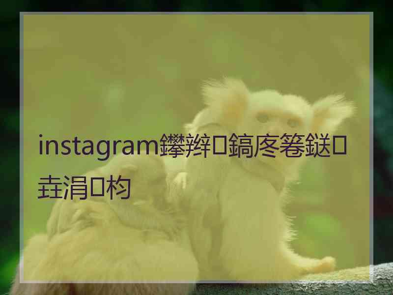 instagram鑻辫鎬庝箞鎹㈡垚涓枃