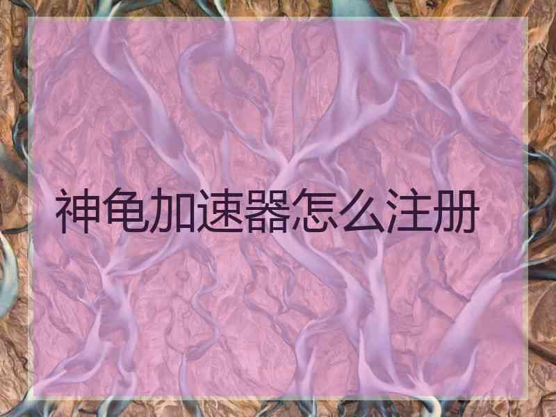 神龟加速器怎么注册