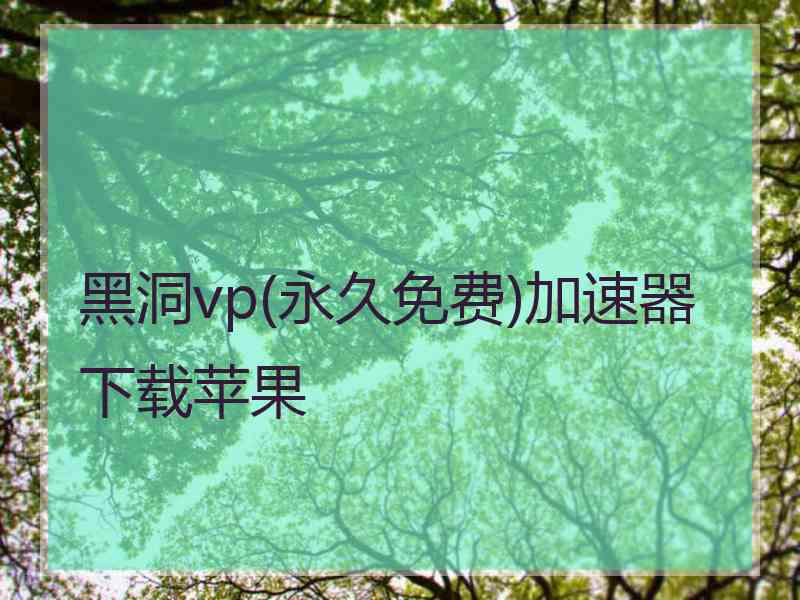 黑洞vp(永久免费)加速器下载苹果