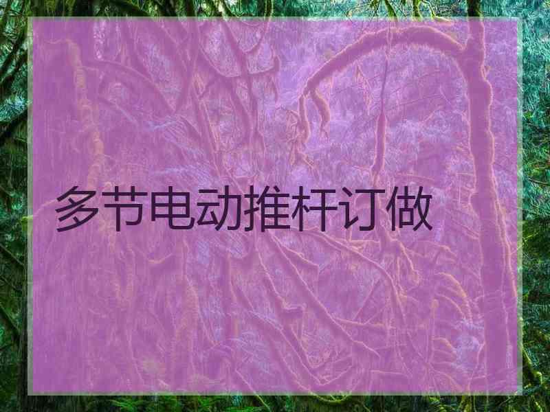 多节电动推杆订做