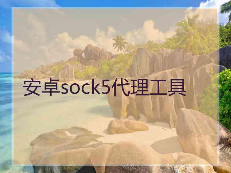 安卓sock5代理工具