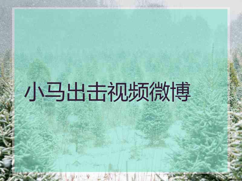 小马出击视频微博