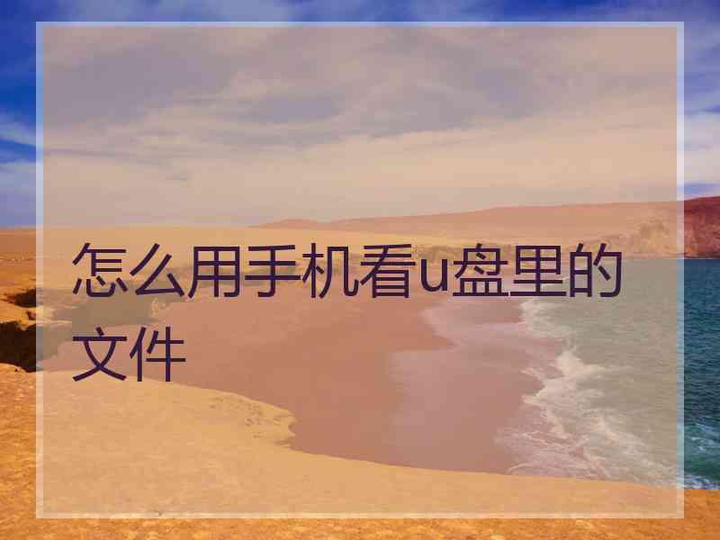 怎么用手机看u盘里的文件